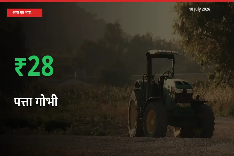 किसानों के लिए खुशखबरी! स्थानीय मंडी में पत्ता गोभी 27.77% उछला