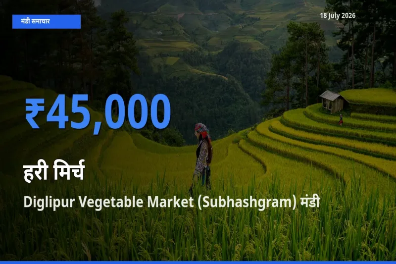 Diglipur Vegetable Market (Subhashgram) मंडी में आज हरी मिर्च के सबसे ऊँचे दाम दर्ज