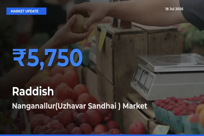 Nanganallur(Uzhavar Sandhai ) Offers ₹5,750 – Highest Raddish Rate Today