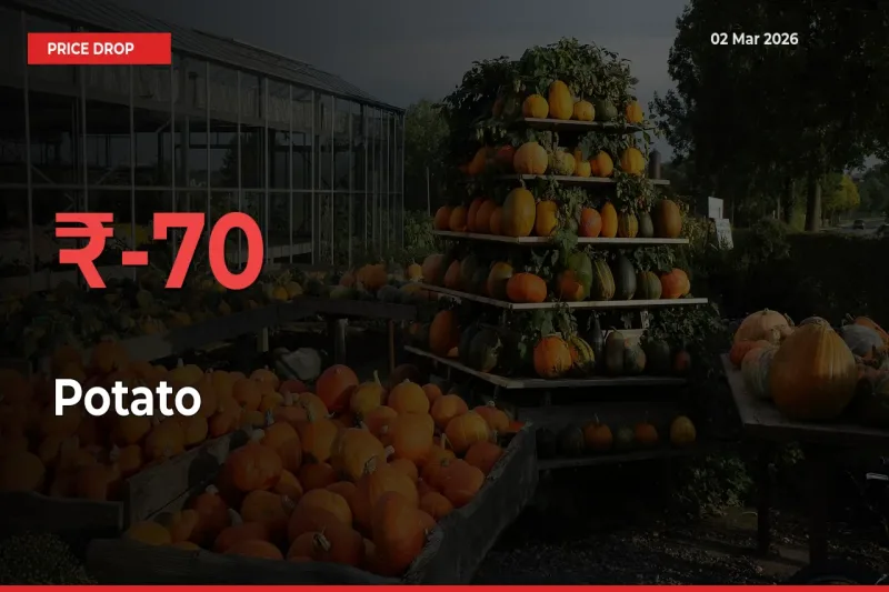 This Mandi Records 69.87% Fall in Potato Prices