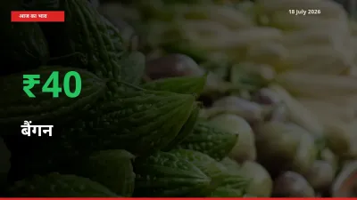 तेज़ तेजी! मंडी में बैंगन के दाम 39.75% चढ़े