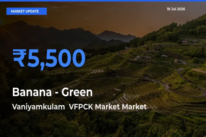 Banana - Green Mandi Rate Today: Vaniyamkulam VFPCK Market Tops the List
