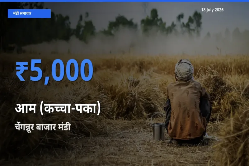 किसानों की पसंद बना चेंगन्नूर बाजार, आम (कच्चा-पका) के सबसे अच्छे दाम