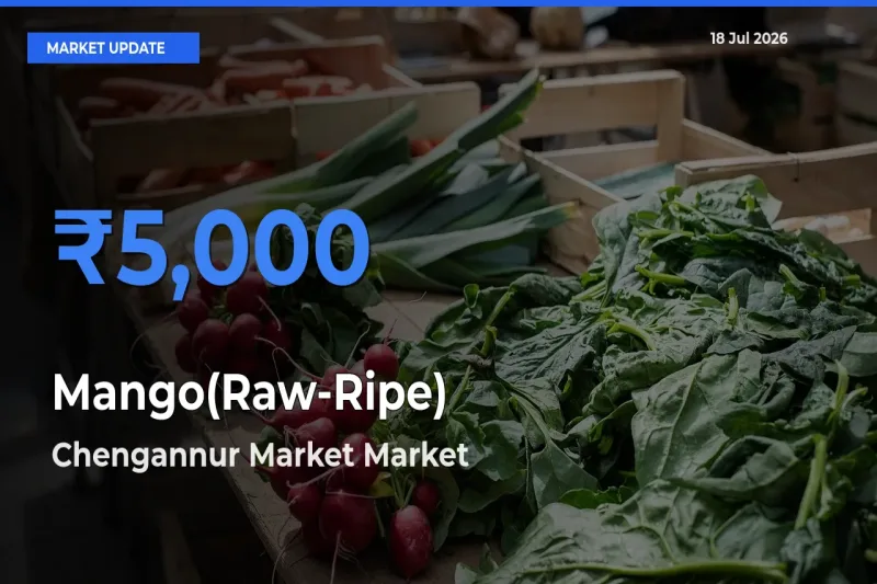 Chengannur Market Tops Mango(Raw-Ripe) Mandi Rates Today