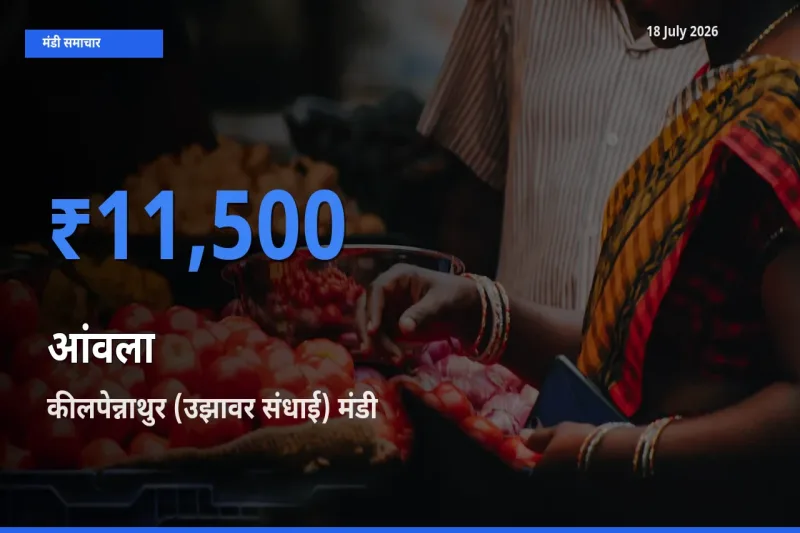 बाज़ार संकेत: कीलपेन्नाथुर (उझावर संधाई) बना आंवला के लिए आज की टॉप मंडी