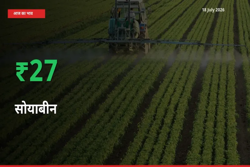 सोयाबीन 26.88% उछला, मंडी