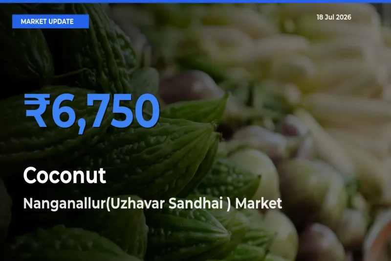 Market Watch: Nanganallur(Uzhavar Sandhai ) Becomes Top Mandi for Coconut