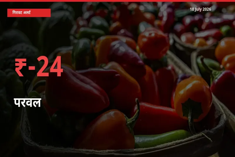 स्थानीय मंडी में परवल के दाम अचानक 24.15% गिरे, किसानों की चिंता बढ़ी