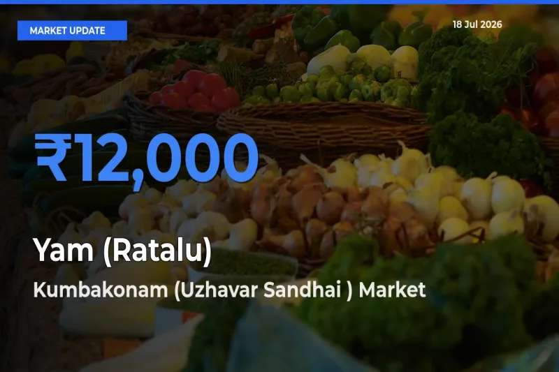 Top Performer! Kumbakonam (Uzhavar Sandhai ) Offers Best Yam (Ratalu) Price Today