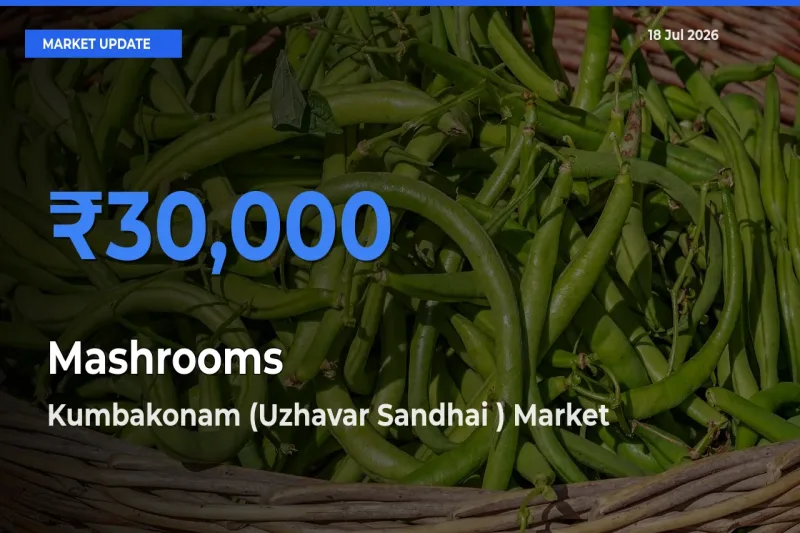 Kumbakonam (Uzhavar Sandhai ) Tops Mashrooms Rates – July 18 Market Update