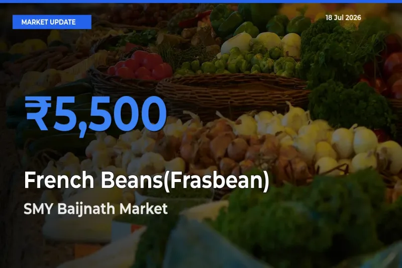 SMY Baijnath Records Highest ₹5,500 Rate for French Beans(Frasbean)