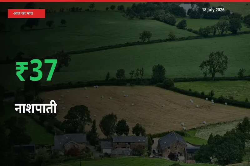 नाशपाती 37.27% उछला, मंडी
