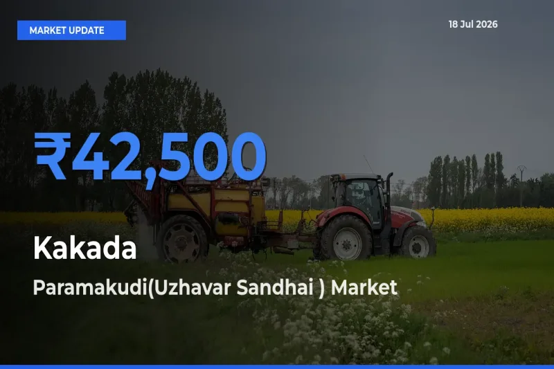 Paramakudi(Uzhavar Sandhai ) Offers ₹42,500 – Highest Kakada Rate Today