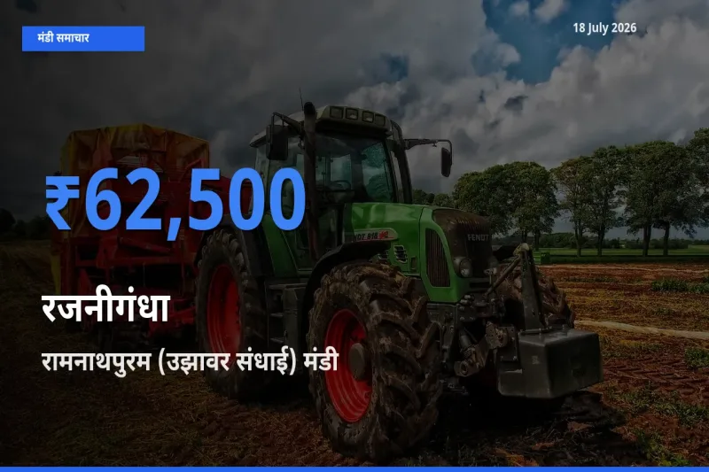 रामनाथपुरम (उझावर संधाई) मंडी में रजनीगंधा ₹62,500 पर पहुँचा – आज का सर्वोच्च भाव