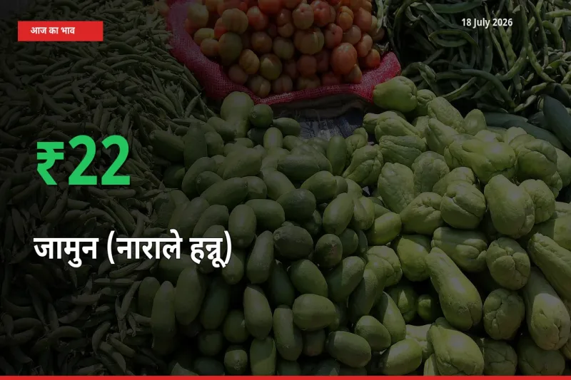 अचानक तेजी! मंडी में जामुन (नाराले हन्नू) के दाम 21.57% चढ़े