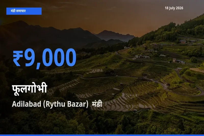Adilabad (Rythu Bazar) में फूलगोभी का आज सबसे ऊँचा भाव