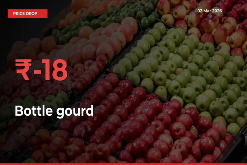 This Mandi Records 18.49% Fall in Bottle gourd Prices