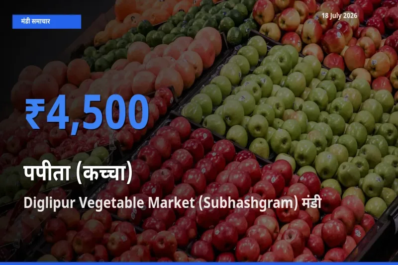 आज पपीता (कच्चा) के सबसे ऊँचे दाम ₹4,500 Diglipur Vegetable Market (Subhashgram) मंडी में