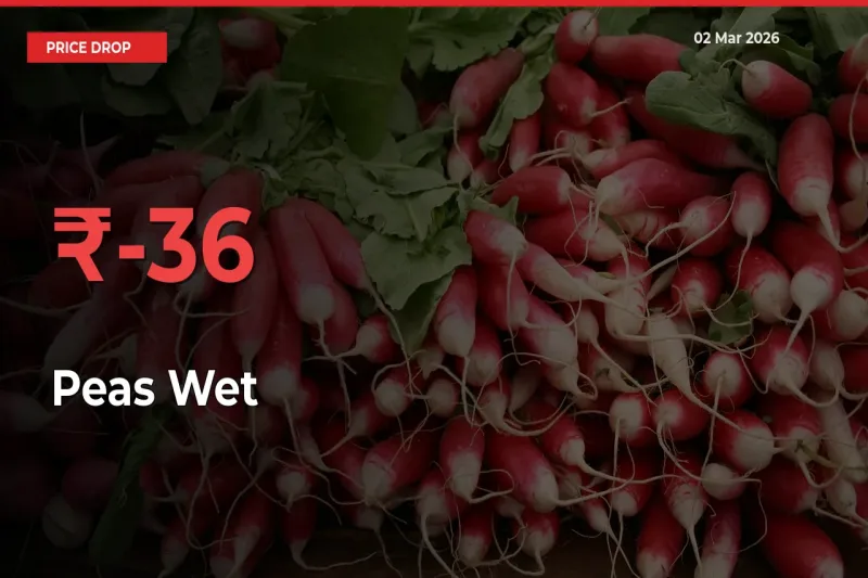 This Mandi Records 36.32% Fall in Peas Wet Prices