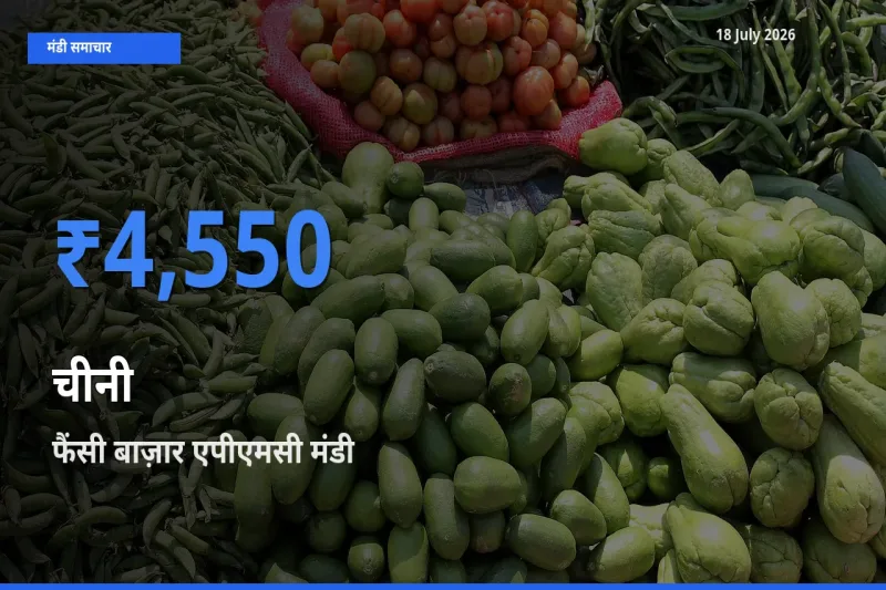 फैंसी बाज़ार एपीएमसी मंडी में आज चीनी के सबसे ऊँचे दाम दर्ज