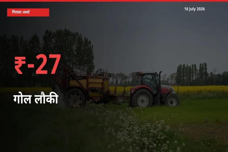 तेज़ गिरावट! मंडी में गोल लौकी के दाम 27.29% लुढ़के