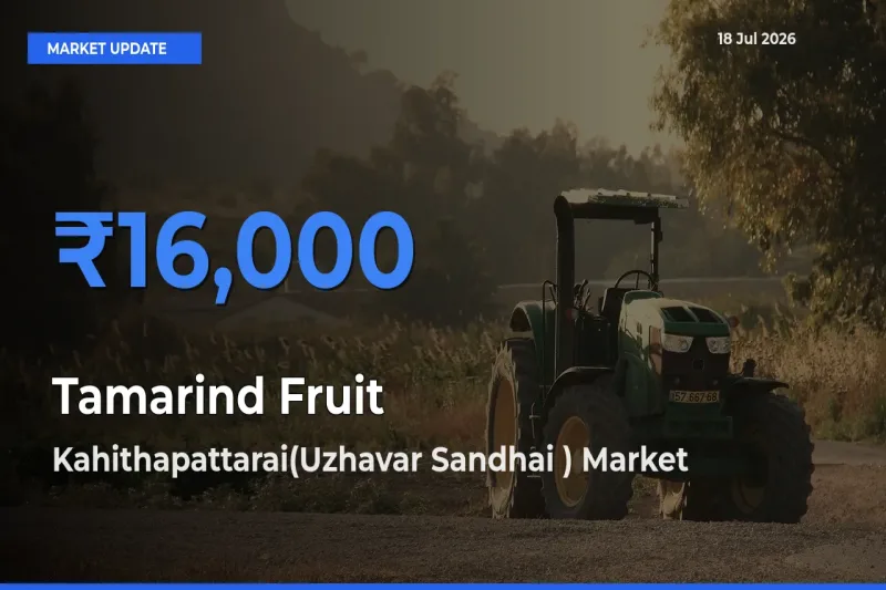 Kahithapattarai(Uzhavar Sandhai ) Records Highest ₹16,000 Rate for Tamarind Fruit