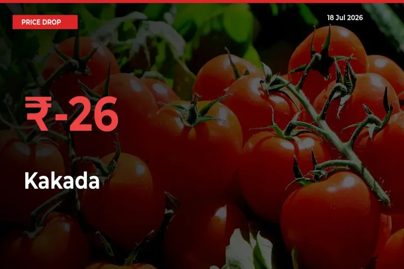 This Mandi Records 25.64% Fall in Kakada Prices