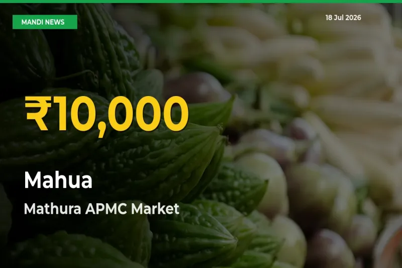 Big Jump in Mahua Prices! Mathura APMC Records New Peak Today