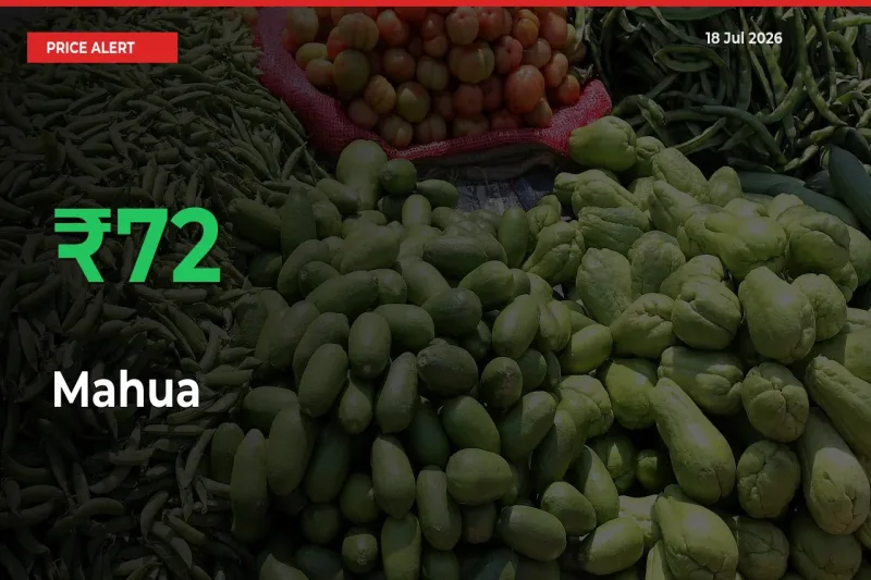 Farmers Cheer as Mahua Prices Surge 72.04% in Local Mandis