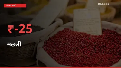 25.31% की गिरावट! मंडी में मछली के दाम अचानक टूटे