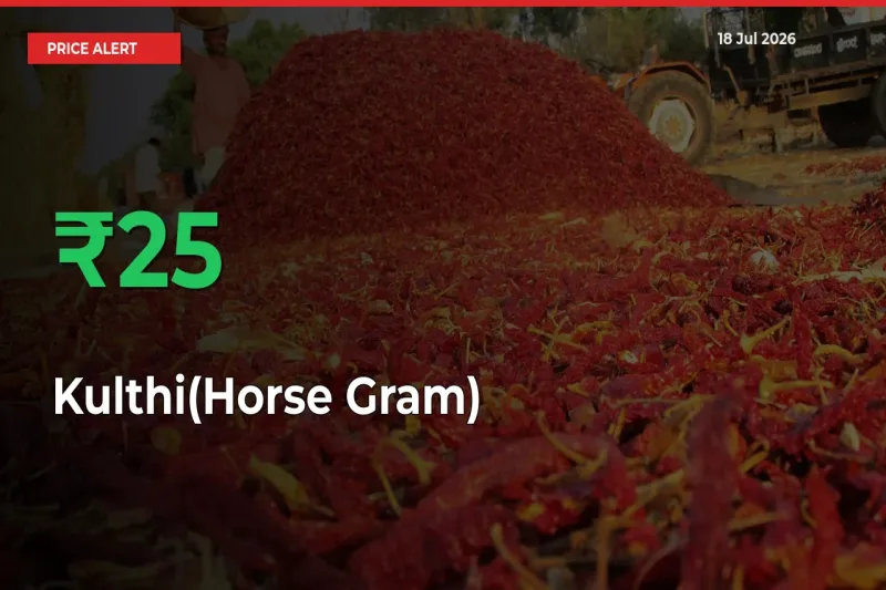 24.82% Spike in Kulthi(Horse Gram) Prices – Mandi Sees Sudden Rally