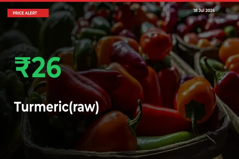 Turmeric(raw) Prices Rise 25.69% in a Day at Major Mandis