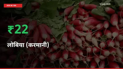 स्थानीय मंडी में लोबिया (करमानी) के दाम अचानक 22.18% उछले, किसान सतर्क