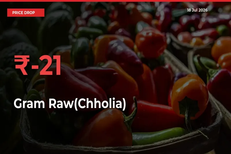 Gram Raw(Chholia) Mandi Rate Today: Prices Fall 20.8% at Market