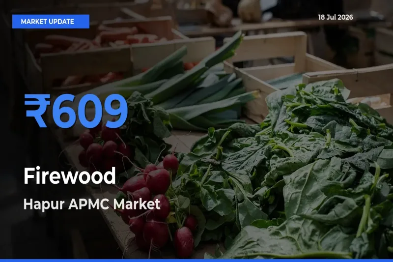Farmers Prefer Hapur APMC as Firewood Hits Highest Rate