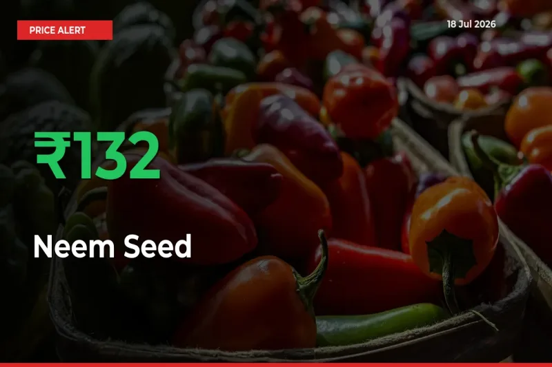 Neem Seed Prices Rise 131.51% in a Day at Major Mandis