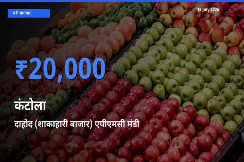 18 July अपडेट: कंटोला के सबसे ऊँचे दाम दाहोद (शाकाहारी बाजार) एपीएमसी मंडी में