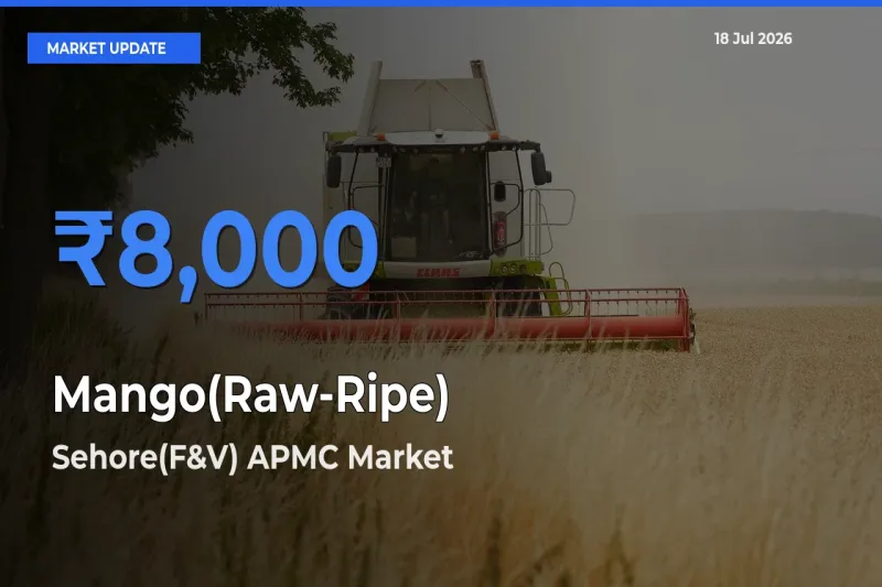 Sehore(F&V) APMC Tops Mango(Raw-Ripe) Mandi Rates Today