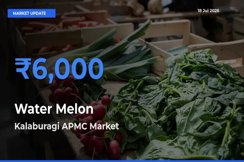 Farmers Prefer Kalaburagi APMC as Water Melon Hits Highest Rate