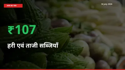 आज का मंडी भाव: हरी एवं ताजी सब्जियाँ के दाम मंडी में 106.9% ऊपर