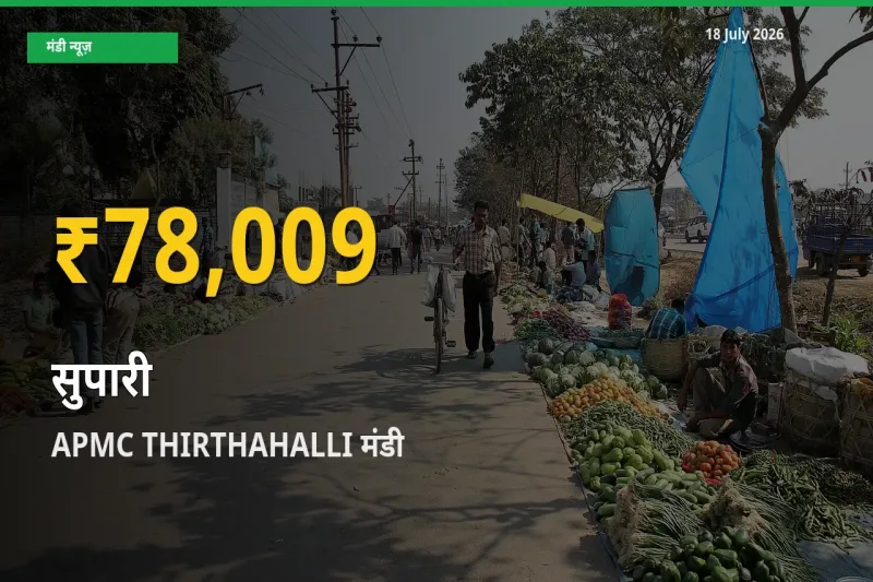 आज का मंडी भाव: APMC THIRTHAHALLI में सुपारी सबसे ऊँचे स्तर पर