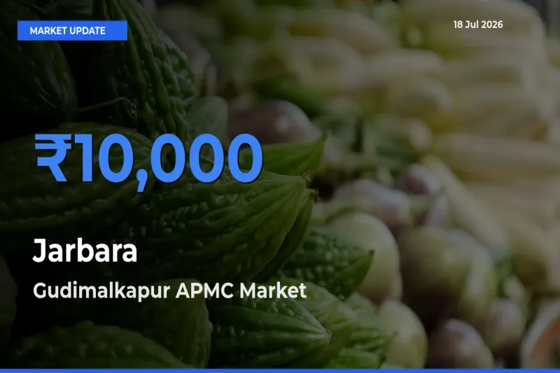 Gudimalkapur APMC Tops Jarbara Rates – July 18 Market Update