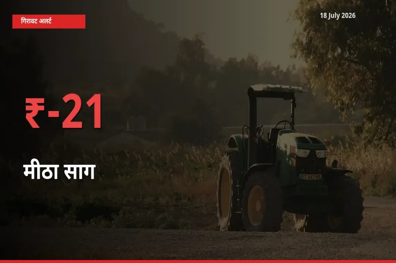 बाज़ार संकेत: मीठा साग के भाव मंडी में 21.41% नीचे