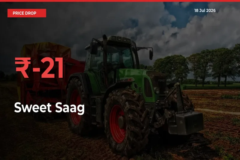 Sweet Saag Falls 21.41% at Mandis