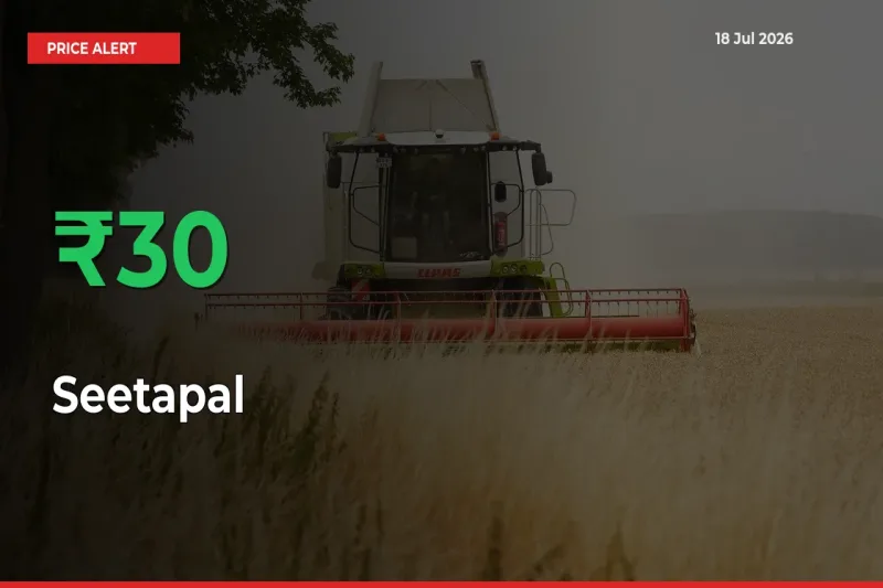 30.43% Spike in Seetapal Prices – Mandi Sees Sudden Rally