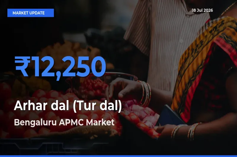 Farmers Prefer Bengaluru APMC as Arhar dal (Tur dal) Hits Highest Rate