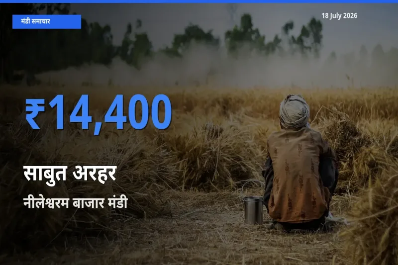 आज साबुत अरहर के सबसे ज़्यादा दाम नीलेश्वरम बाजार मंडी में दर्ज