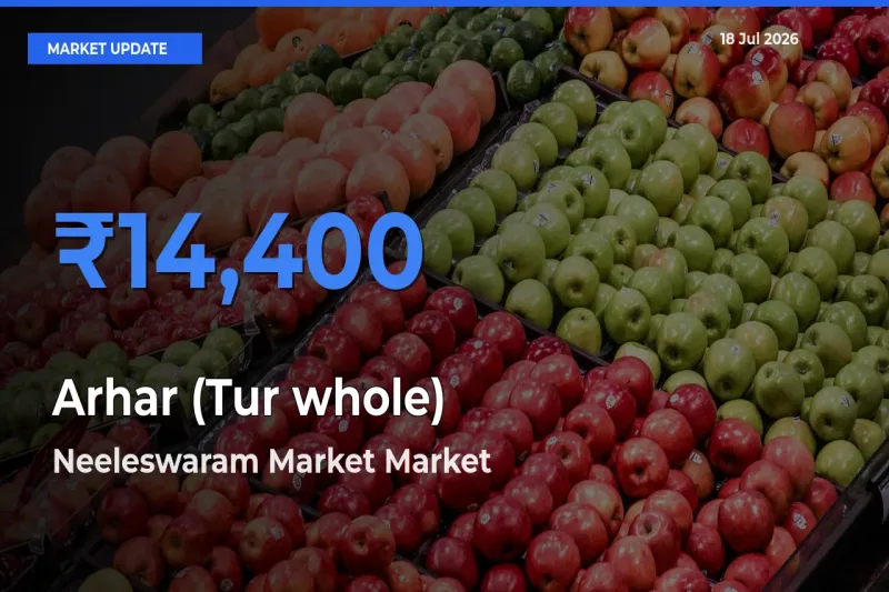Neeleswaram Market Tops Arhar (Tur whole) Rates – July 18 Market Update