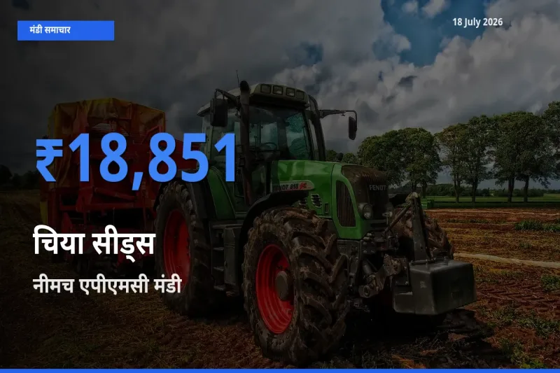 किसानों की पसंद बना नीमच एपीएमसी, चिया सीड्स के सबसे अच्छे दाम