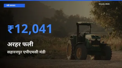 सहारनपुर एपीएमसी में अरहर फली का आज सबसे ऊँचा भाव